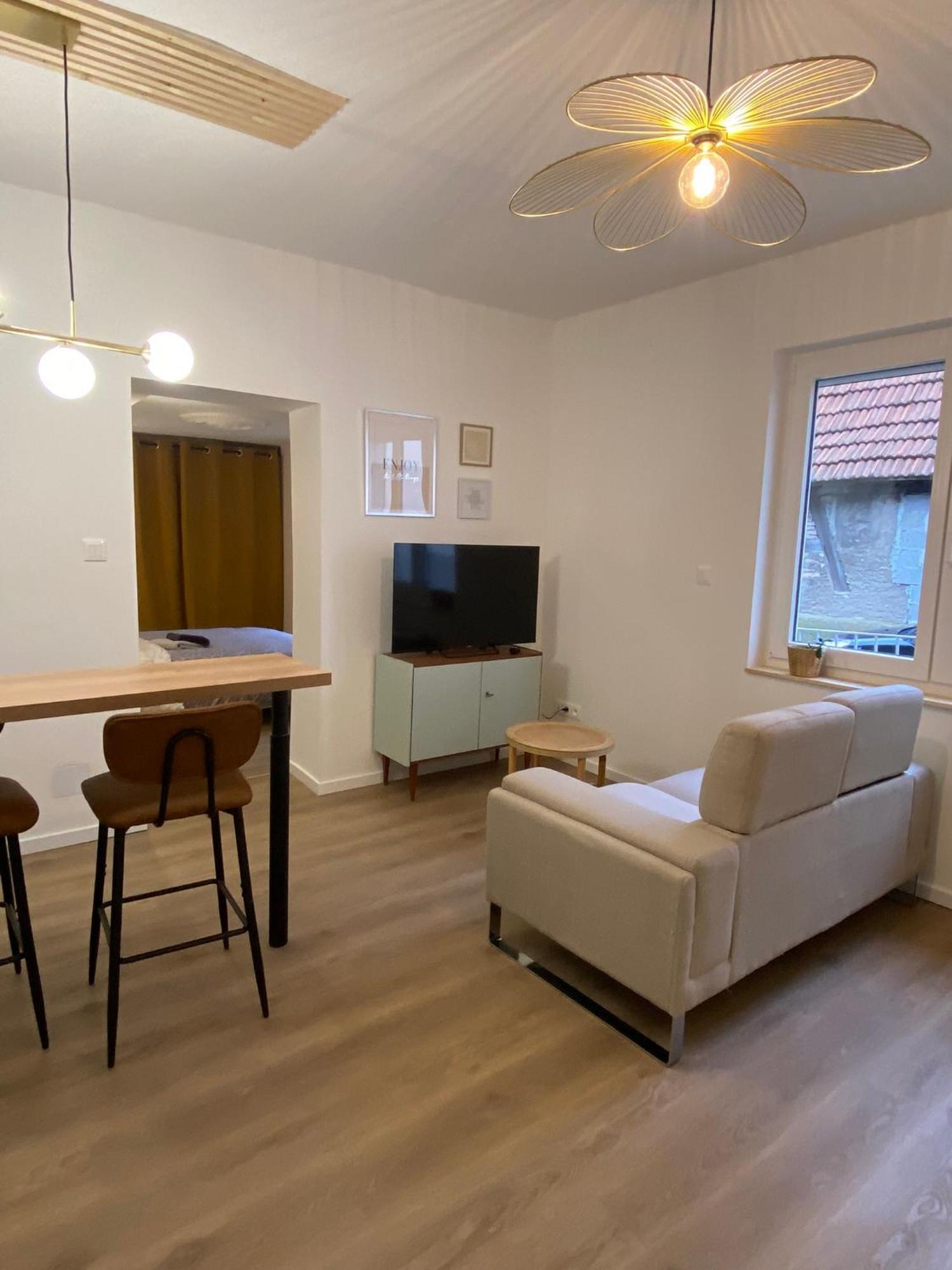 Appartement Cosy Soufflenheim Ngoại thất bức ảnh